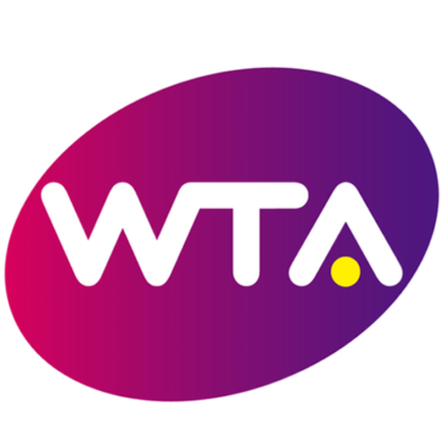 2017臺灣公開賽授權單位(2017 TAIWAN OPEN-Sanction Body)：WTA